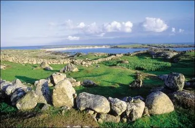 ''RUGBY : EMBLÈMES DES ÉQUIPES'' 
Ma très chère Irlande... Pour elle, depuis des siècles, le signe de ralliement est cousu sur le maillot de son équipe de rugby :
