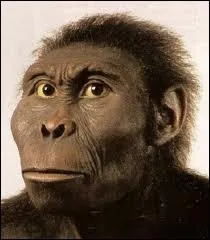 ''ZOOLOGIE : ORDRE, CLASSE et FAMILLE'' 
Quel est l'intrus dans la famille des hominidés ?