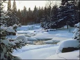 Est-ce que la poutine, le ragot de pattes de cochon et la tourtire du lac St. Jean sont des plats typiquement qubcois ?