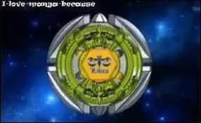 Quelle est cette toupie ?