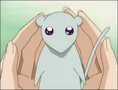 Pour quoi Yuki repousse-t-il les filles ?