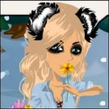 Qu'est-ce que les  starcoins  ?