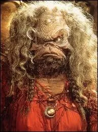 Dans quel film voit-on cette crature au facis renfrogn ?