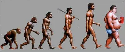 Que est le pourcentage annuel de l'augmentation de l'obésité en France ?