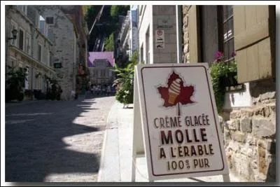 Et si nous allions dire un petit bonjour  nos cousins acriculteurs de  La belle province  !