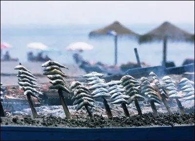 Quel est ce plat traditionnel de Mlaga, compos de sardines enfiles dans un bout de roseau et que l'on fait griller sur la plage, au feu de bois et arroses d'eau de mer ?