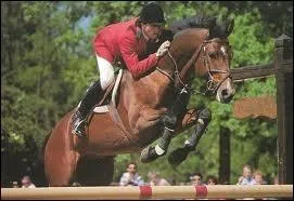 Et celle de ce cheval qui mesure 1m68 ?