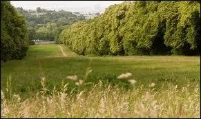 Localis�e � cinq kilom�tres de Paris intramuros, c'est la for�t de :