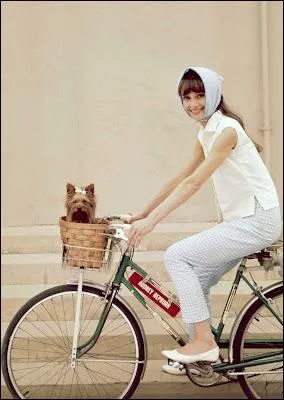 Dans le panier, un petit toutou, son yorkshire prnomm Famous, ravi de faire un tour, et sur la bicyclette ?