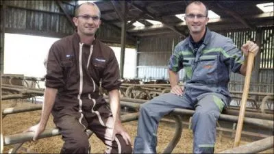 Quels sont les deux jumeaux ?