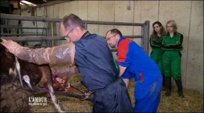 Chez les deux jumeaux, quel animal est mort  la naissance ?