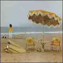 Cet album mythique et fort sombre appartient  un solitaire. Qui est-ce ?