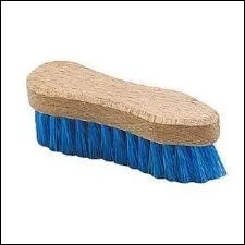 Quelle est cette brosse ?