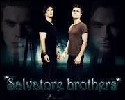 Que sont Stefan et Damon ?