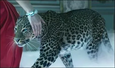 Quel est le produit de cette image ?