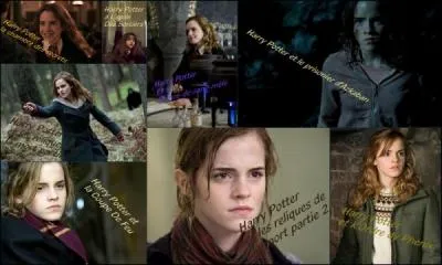 Quelle est la profession de ses parents ?