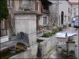 Les habitants de la commune de Lay-Saint-Christophe portent le gentil ...