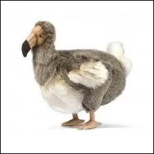 Le Dodo est un Oiseau, ( il y a plusieurs possibilits )