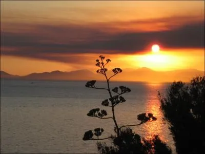 L'île du Levant est près de...