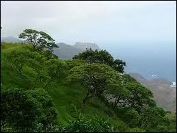 Napoléon n'a pas eu droit à une île de rêve : Sainte-Hélène se situe...