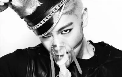 Quelle est la couleur des cheveux de T. O. P dans le MV de  Fantastic Baby  ?