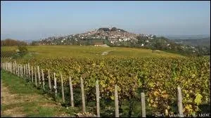 Sancerre, une commune bien connue des amateurs de vins est situe en rgion Centre. Quel est son dpartement ?