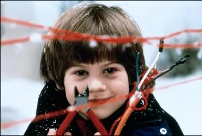 Quel est est ce film ?