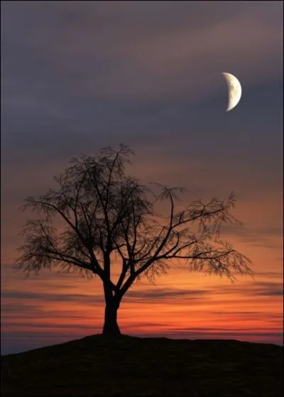 Agrandissez cette photo, quelle organisation humanitaire vous suggre-t-elle ?