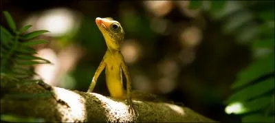 Quel reptile peut marcher au plafond, la tte en bas ?