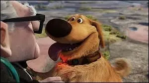 Ce qui les fit atterrir brusquement sur la Terre. En face d'eux, les chutes du Paradis ! Mais pour y aller, ils avaient beaucoup de chemin, et ils croisrent par hasard ... .