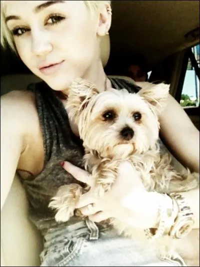 Le chien prsent sur la photo s'appelle Mary-Jane.