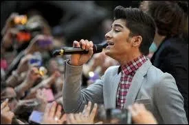 Laquelle de ces 3 propositions caractrise Zayn ?