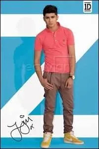 Quel est le nom de famille de Zayn ?