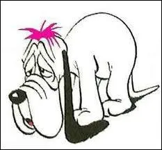 Rsultat des courses, que remarque-t-on quand on regarde ses yeux ?