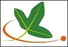 Le logo de Tela est constitué d'une feuille. De quelle espèce s'agit-il ?
