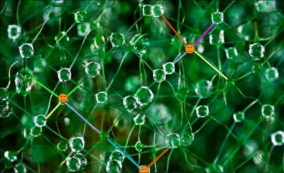 Les Membres Relais diffusent les connaissances et les savoir-faire Tela. Une des implications du Membre Relais  diffuseur  pourrait tre :