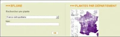 Sur eFlore vous pouvez rechercher une plante de plusieurs manires. Laquelle de ces options de recherche n'est pas possible ?