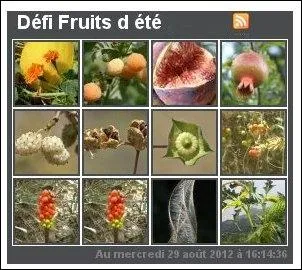 Les widgets, comme celui permettant de visualiser les photos des dfis images, sont :