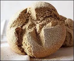 On la croit quelquefois folle, cependant voilà une céréale qui donne au pain une saveur douce sinon fade, mais qui le rend très digeste.