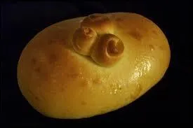 Ils l'appellent "pao doce", pain doux.