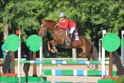 Quelle est cette robe ?