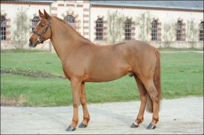 Quelle est cette robe ?