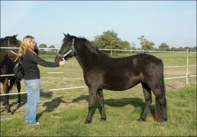 Quelle est cette robe ?