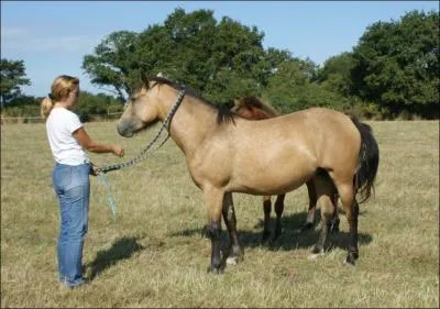 Quelle est cette robe ?