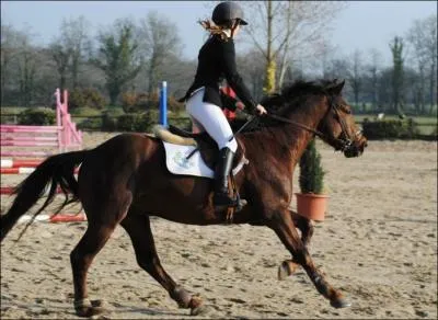 Quelle est cette robe ?