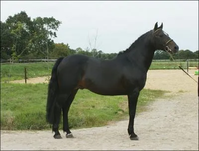 Quelle est cette robe ? (pas facile voire criticable)