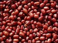 Ils entrent dans la prparation des recettes asiatiques. Si vous choisissez de goter  la pte sucre d'une grande finesse consomme au Japon, vous vous lcherez les babines.