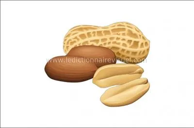 Son huile rsiste bien aux hautes tempratures.