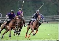 Quelle est cette discipline  cheval plutt originale ?