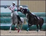 Quelle est cette discipline ?